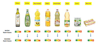 DISPOSITIF NUTRI.png